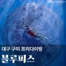 안정1길 | 대구 구미 칠곡 프리다이빙 블루피스 강습 가격 인생샷 방문 후기 추천