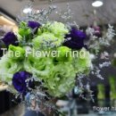 더리시안 이미지