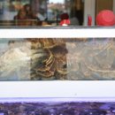 팔팔회센타 이미지