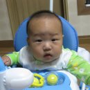 선미상회 - 성주군 시장길 43-1 | 선미상회