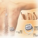 로버트 새폴스키 "스트레스와 통증" 이미지