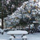 아라민박 이미지