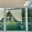 호플리 | 경주 황리단길 숙소 온수 풀빌라 호플리 가족 단체펜션 수영장