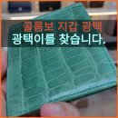 명품 콜롬보 카드지갑 사라진 광택 내부 색바램 칼라 염색 복원