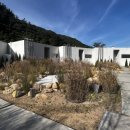 루오스테이 수월 이미지