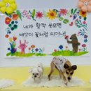 멍뭉호텔 이미지