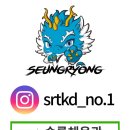 승룡태권도장 이미지