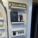 메디포올 이미지