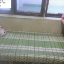 부동산중개법인경기부동산주식회사 이미지