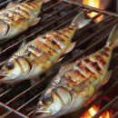 서천트레이딩 | 📅 제23회 서천 홍원항 자연산 전어 꽃게 축제 일정·프로그램 총정리