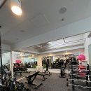 리얼디짐 이미지