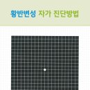 네모안경콘택트 이미지