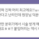 리즈붙임머리