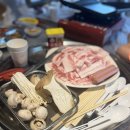 우다다애견 이미지