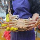 보물섬수산 - 유성구 관들3길 14 | 보물섬수산
