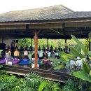 이애숙하타요가 | 발리 Yoga TTC 준비하기⭐️💫_두번째: 요가원 등록 Bali Yoga Union🧘‍♀️🪷🇮🇩