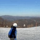 스노보드 | 휘닉스파크 스노보드 강습 내돈내산 후기 ( 레벨러가 되어보쟈!!)