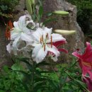 아리따운펜션 이미지