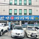 만선참가자미 이미지