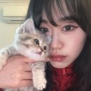 참약사천사약국 이미지