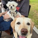 동탄중앙동물병원 이미지