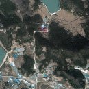 미시촌 Daum카페
