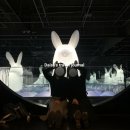 대정 car | 20201113 제주 아르떼 뮤지엄 |바다제비 |오설록티하우스, 이니스프리하우스 |크레커스대정점