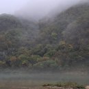 대자연가든 이미지