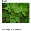 은대민박 이미지