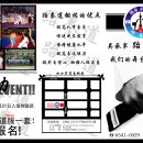 홍태권도장 Daum카페