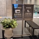 안성카서비스 | [안성 스타필드 아쿠아필드] 설 연휴 아이와 가볼 만한 곳! 찜질방 꿀팁부터 주차, 식당 총정리