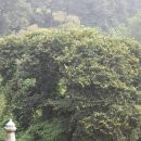 죽3리마을회관 이미지