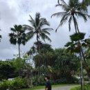 테티스 호텔 이미지