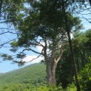 구산경로당 | 뇌정산 산행후기