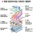 자연-이미지 | 2026 봄염색 트렌드 완벽 가이드: 얼굴에 형광등 켜는 컬러 추천