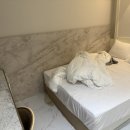 더수호텔 | 41. 한국 충주 수안보온천 수호텔