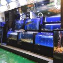 빛나는바다 방이점 이미지