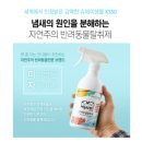 미자애견 이미지
