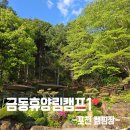 서울 근교 포천캠핑장)금동휴양림캠프1 3박4일 파쇄석 28번/ 불곡산종가집밥상