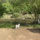 도즈서울 이미지