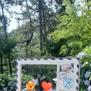 모노포레스트 이미지