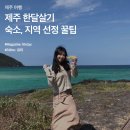 제주쉬멍스파 | 제주 한달살기 숙소, 지역 선정 꿀팁 총정리