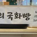 슬기로운책빵생활