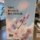 소다롯데노원점 | 무지 무인양품 디퓨저 추천 봄인테리어 소품 쇼핑리스트