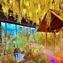 서현로180번길 이미지