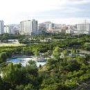 꿈 그리고 희망 이미지