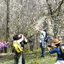 백두대간 수목원 산행[2024.4.13] 이미지