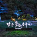 강릉솔향수목원 네이버블로그