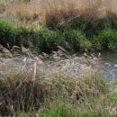 희망2길 이미지