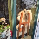 노원초등학교 | 노원구 상계동 아늑한 동네 카페 움큼 ☕